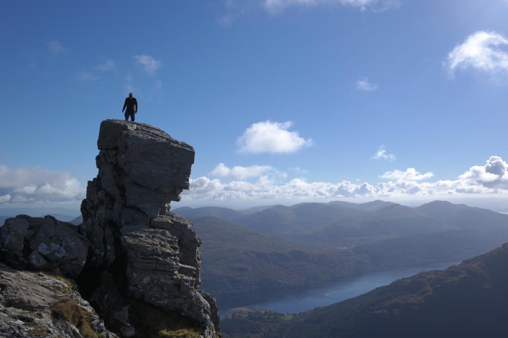 the cobbler