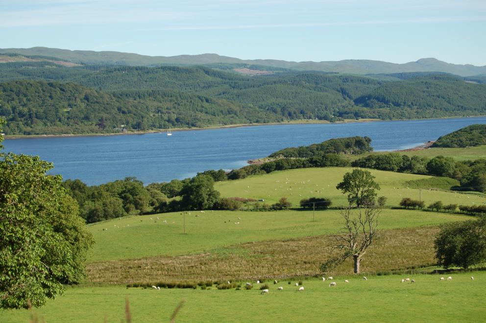A general picture of scenery in Argyll and Bute
