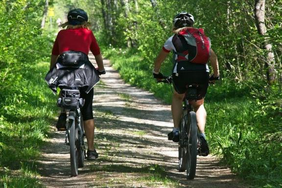 Cyclists riding along track