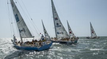 Images shows two racing yachts in the foreground and three in the background. (credit clipperroundtheworld.com)