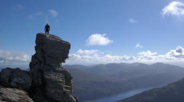 the cobbler