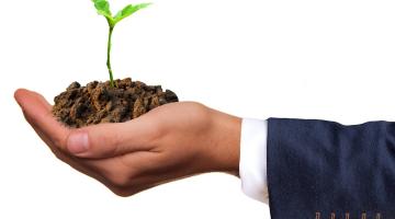 hand holding a green plant