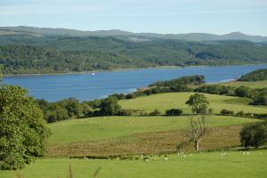 A general picture of scenery in Argyll and Bute
